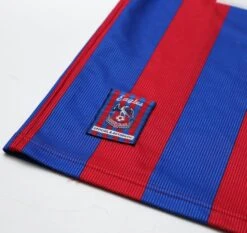 1999/01 CRYSTAL PALACE Vintage TFG Sports Home Football Shirt (S)(1999 01 Crystal Palace Vintage Tfg Sports Home Football Shirt S) 6 1999/01 CRYSTAL PALACE Vintage TFG Sports Home Football Shirt (S)(1999 01 Crystal Palace Vintage Tfg Sports Home Football Shirt S) -Football Shirt Collective 1999 01 crystal palace vintage tfg sports home football shirt s 1175909360